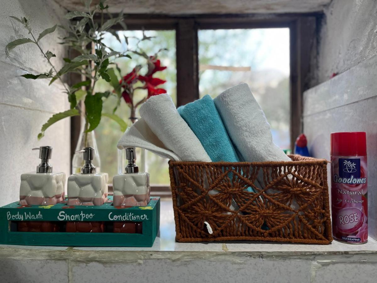 Nebula Nook Cottages Jibhi Kültér fotó